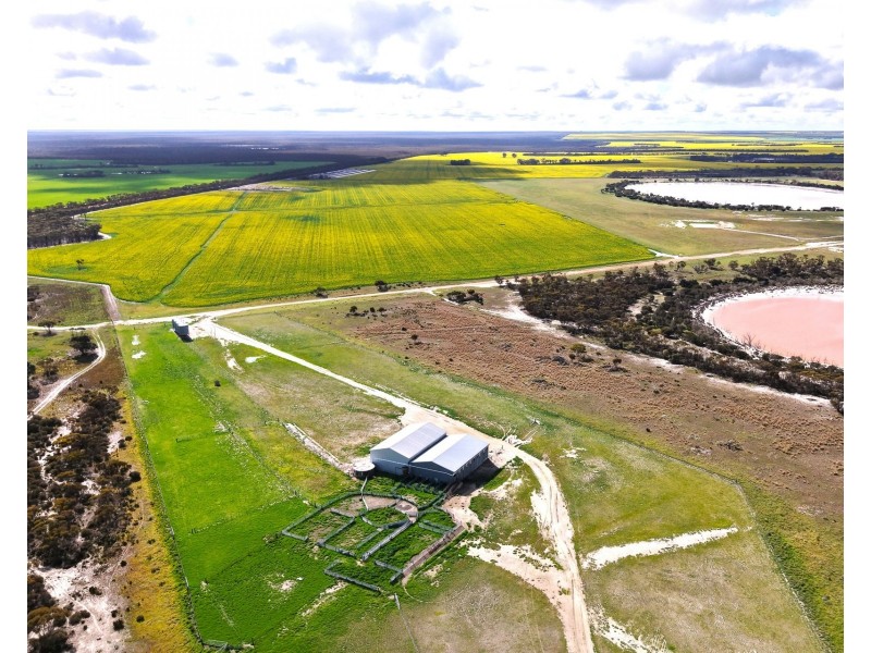 1994 Mallee Road, West Fitzgerald WA 6337