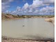 1994 Mallee Road, West Fitzgerald WA 6337
