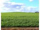 1994 Mallee Road, West Fitzgerald WA 6337