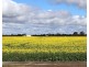 1994 Mallee Road, West Fitzgerald WA 6337