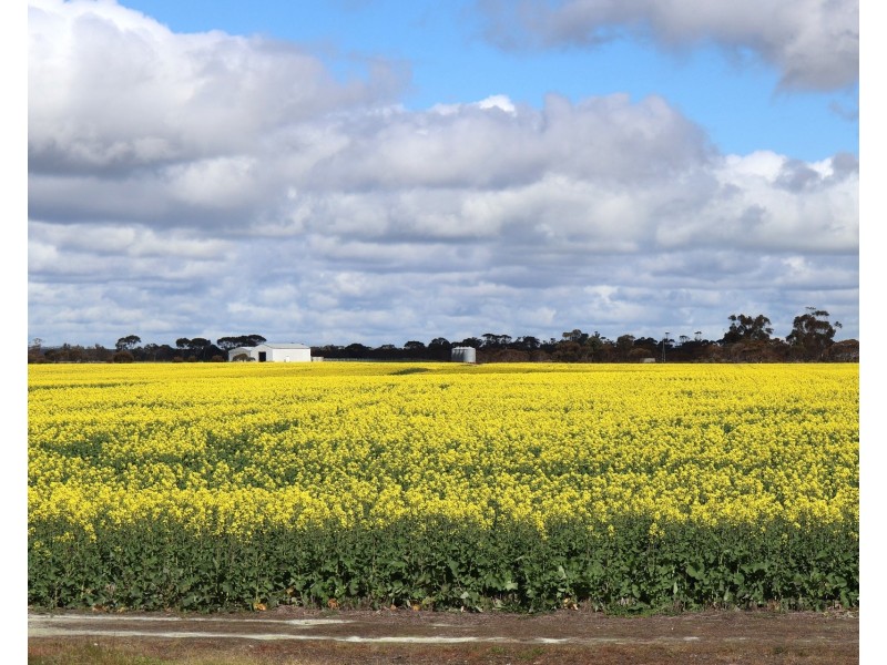 1994 Mallee Road, West Fitzgerald WA 6337
