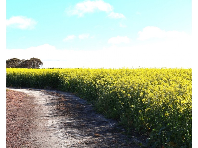 1994 Mallee Road, West Fitzgerald WA 6337