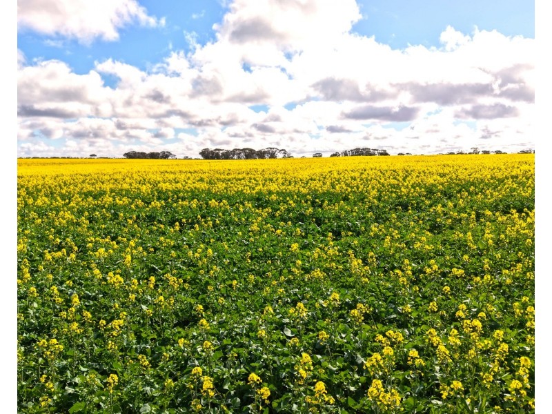 1994 Mallee Road, West Fitzgerald WA 6337
