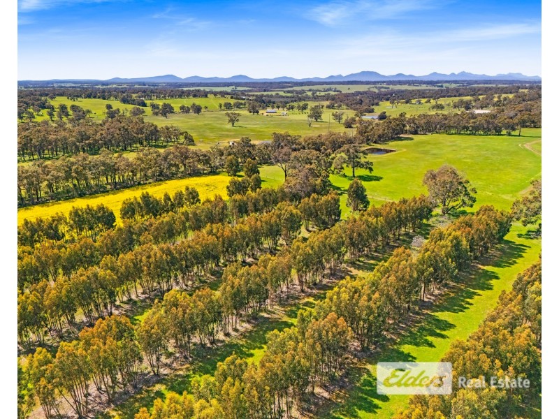 225 West Beattie Road, Mount Barker WA 6324