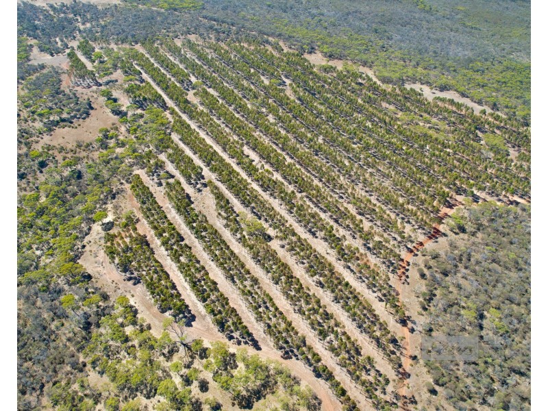 1893 South Coast Highway, Boxwood Hill WA 6338