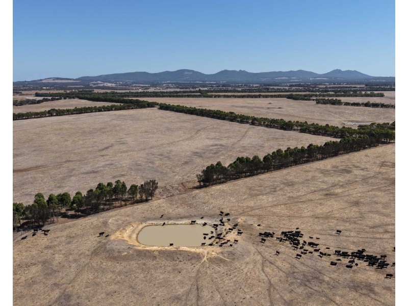 4842 Chester Pass Road, Takalarup WA 6324