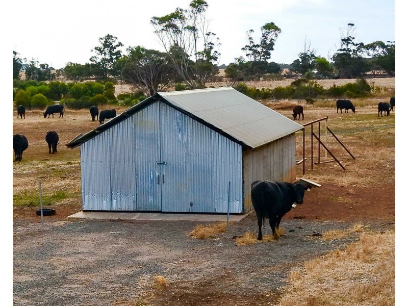 4842 Chester Pass Road, Takalarup WA 6324