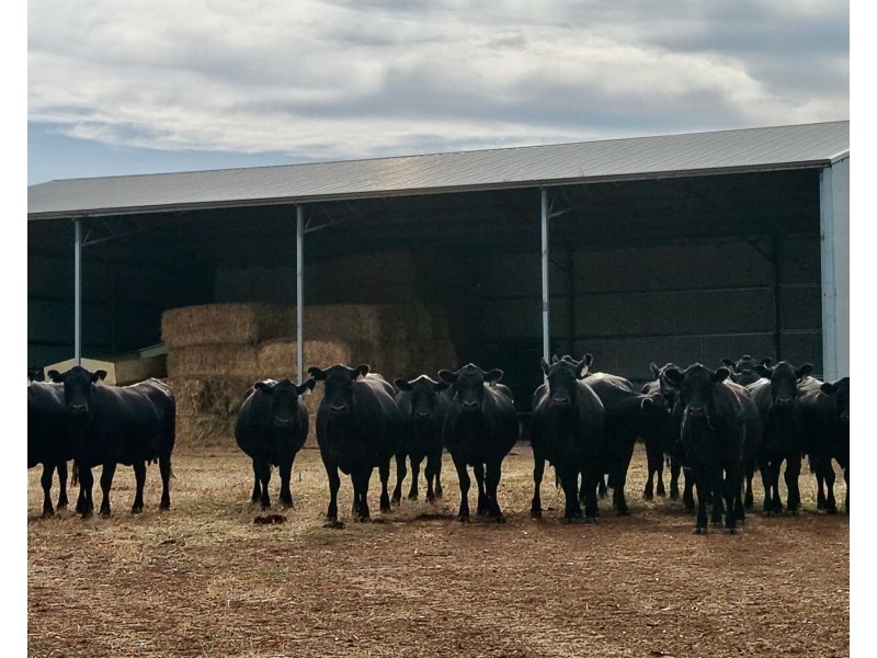 4842 Chester Pass Road, Takalarup WA 6324