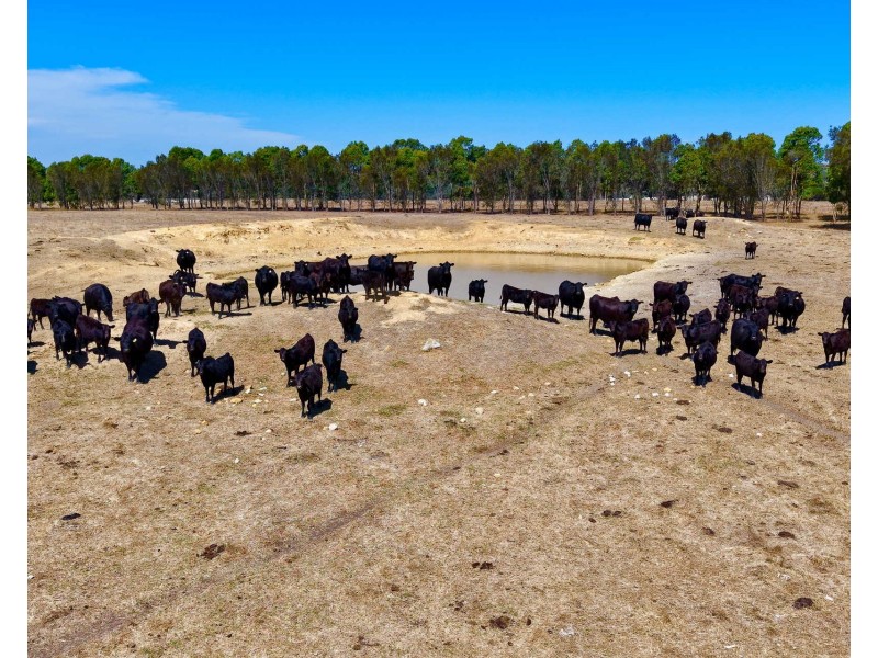 4842 Chester Pass Road, Takalarup WA 6324