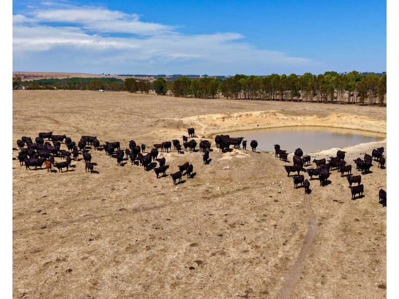 4842 Chester Pass Road, Takalarup WA 6324