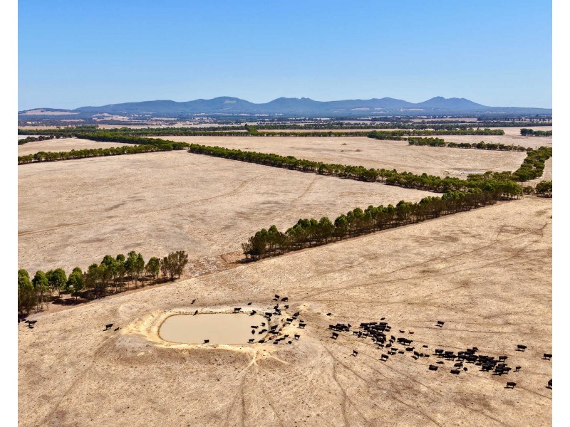 4842 Chester Pass Road, Takalarup WA 6324