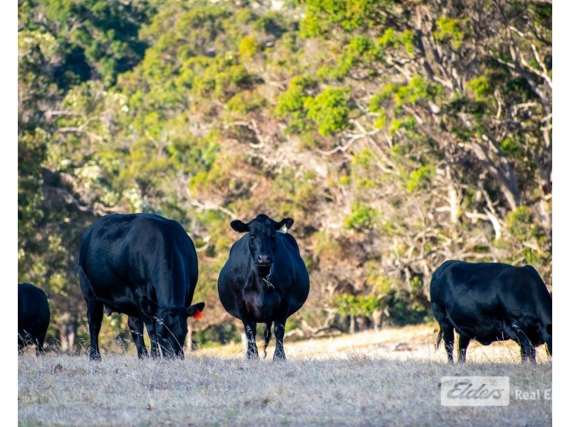 456 Takenup Road, Napier WA 6330