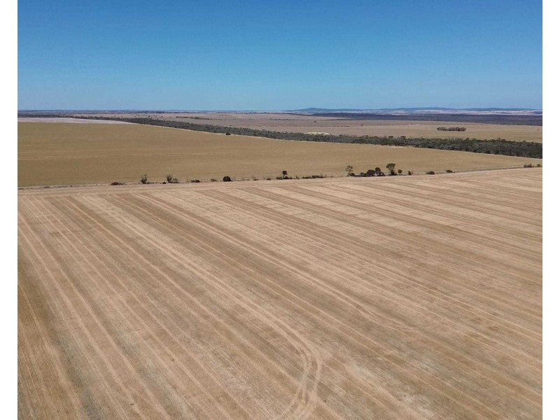 Long Creek Road, West River WA 6346