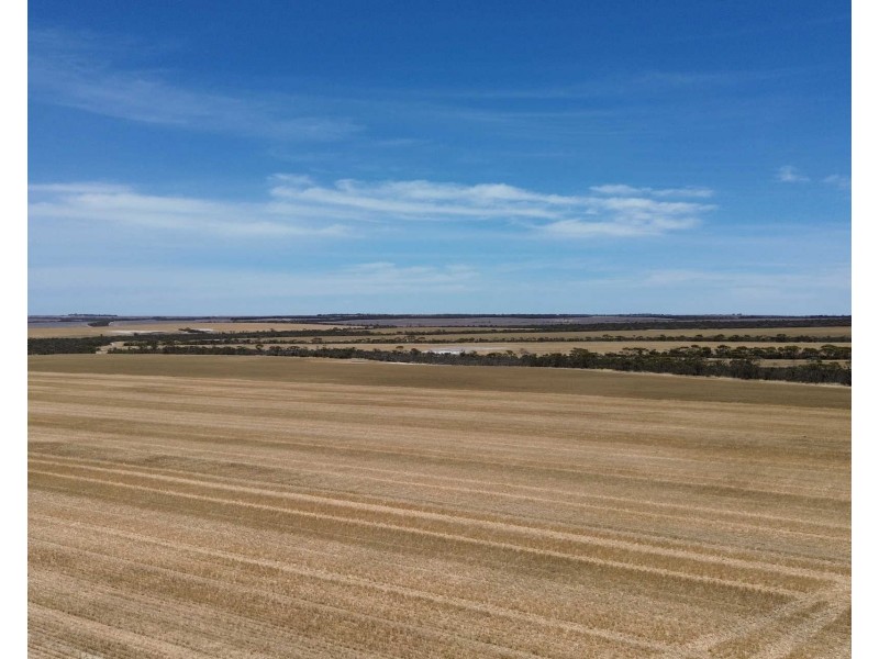 Long Creek Road, West River WA 6346