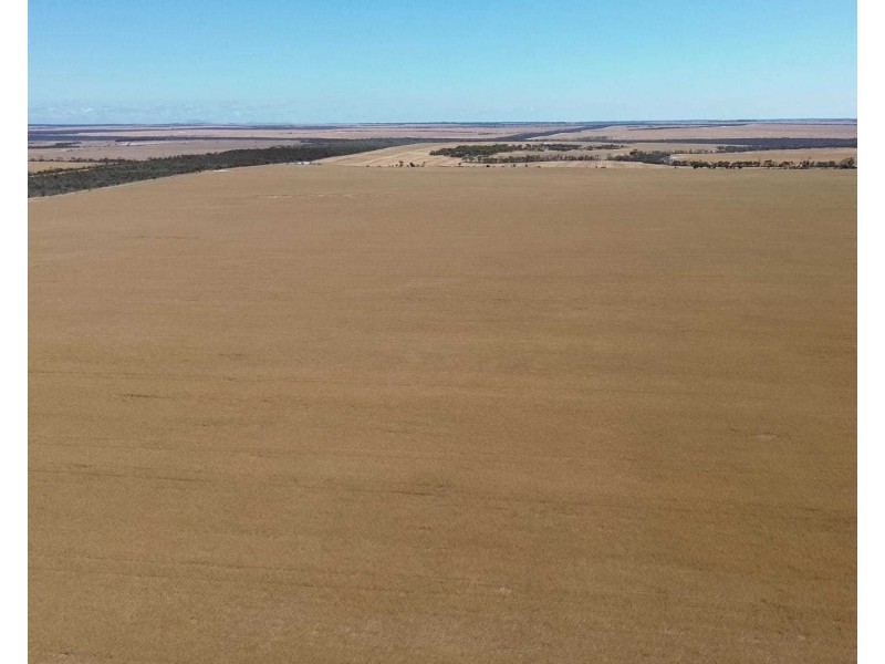 Lot 1960 Long Creek Road, West River WA 6346