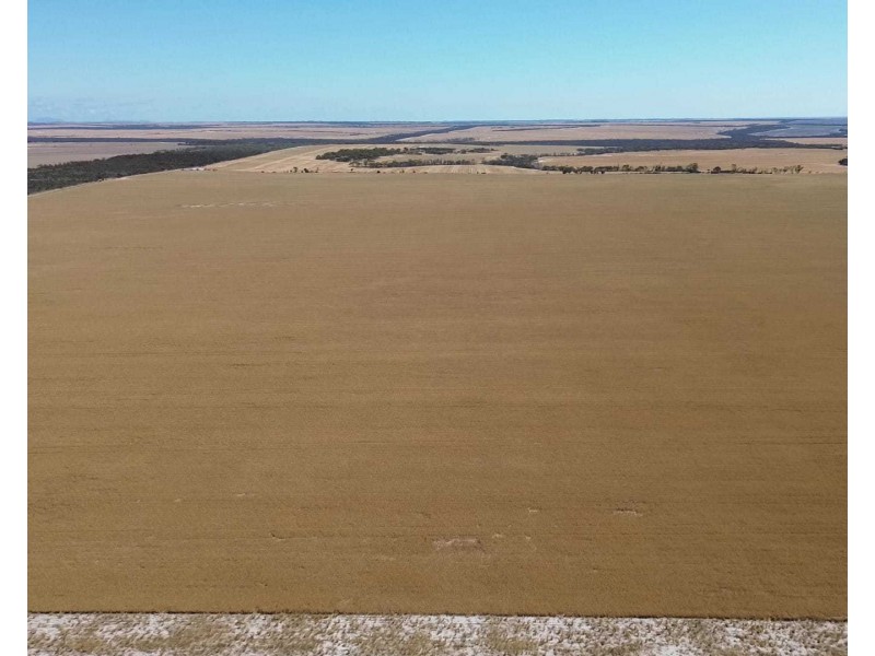 Lot 1960 Long Creek Road, West River WA 6346