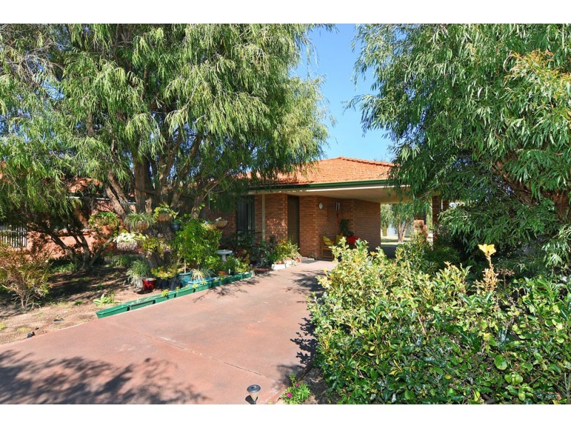 46b Perkins Avenue, East Bunbury WA 6230