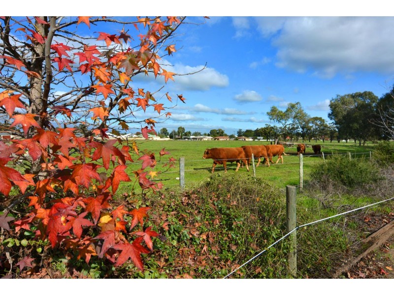 16 Recreation Road, Dardanup WA 6236