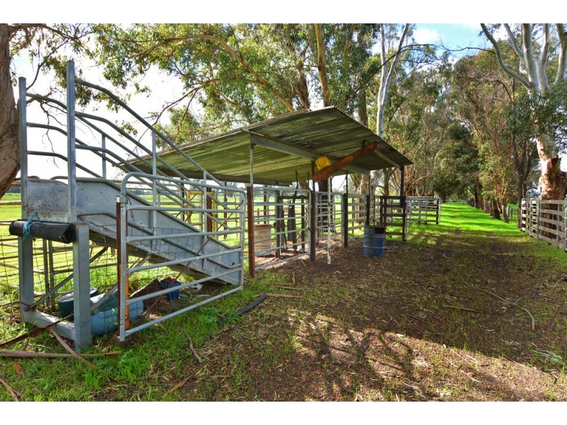 16 Recreation Road, Dardanup WA 6236