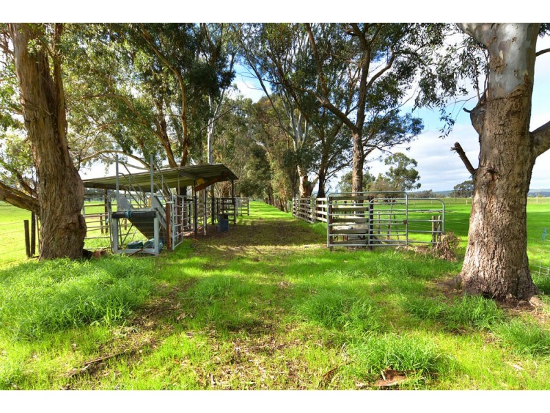 16 Recreation Road, Dardanup WA 6236