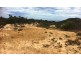 29 Lapwing Road, Dalyellup WA 6230