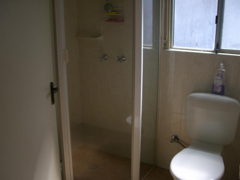 17 Truscott St, Panania NSW 2213