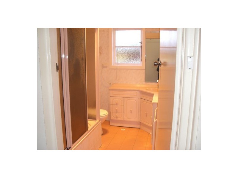 105 Tower Street, Panania NSW 2213