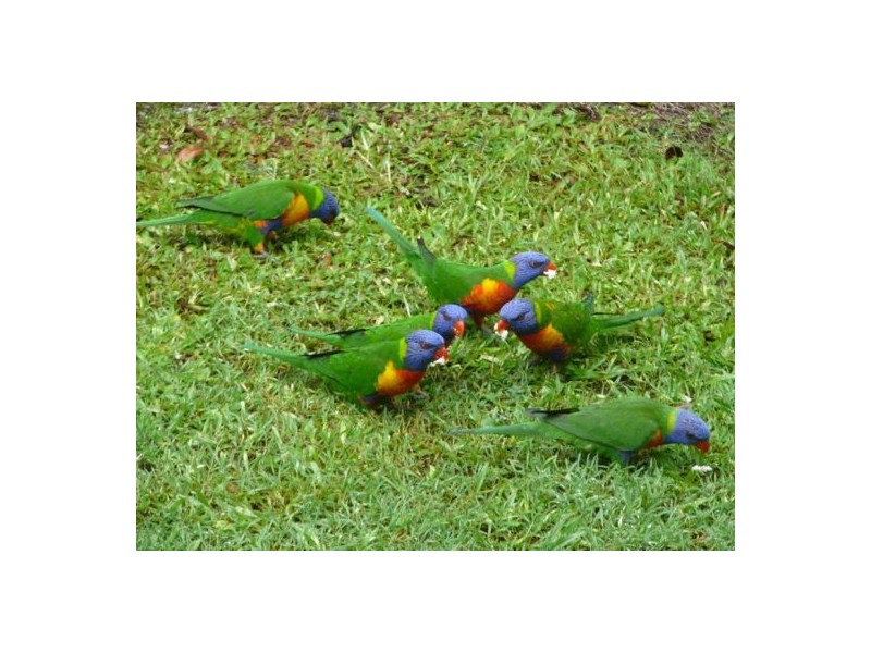 47/31 Langport Parade, Mudgeeraba QLD 4213