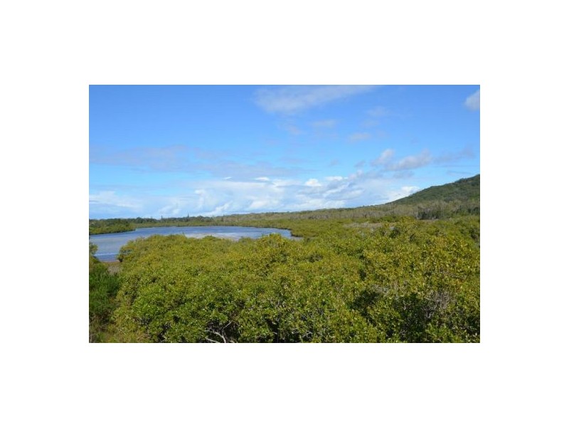 15/2 Creek Street, Hastings Point NSW 2489