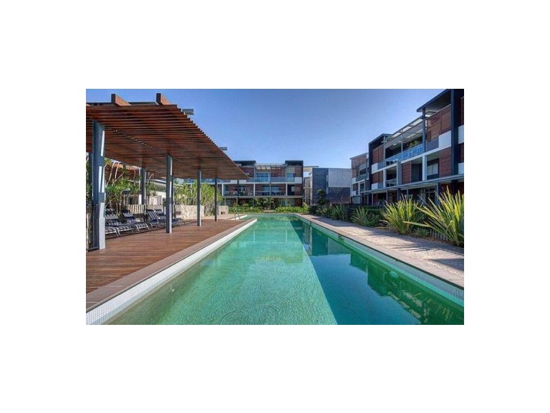 43 Love Street, Bulimba QLD 4171