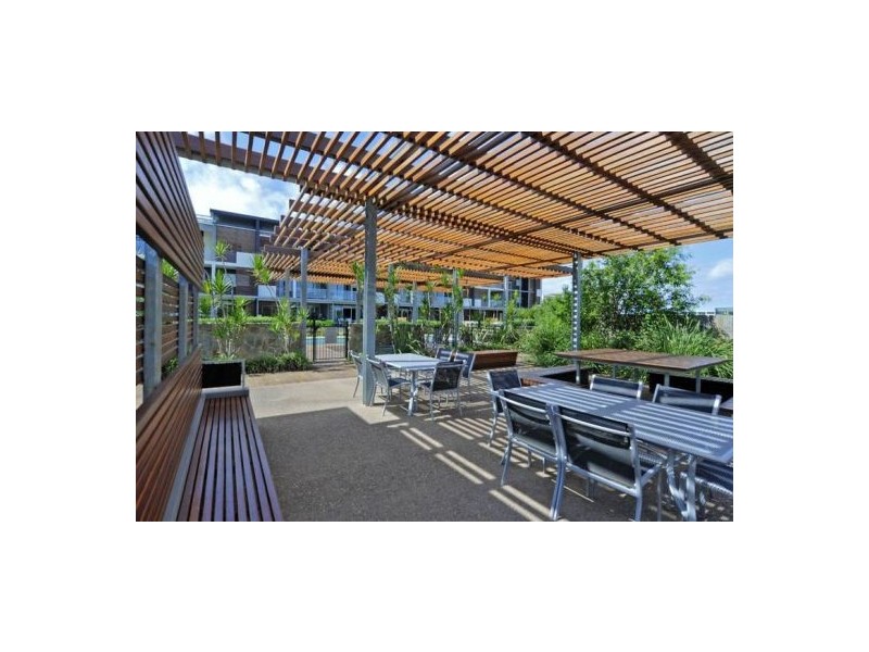 43 Love Street, Bulimba QLD 4171