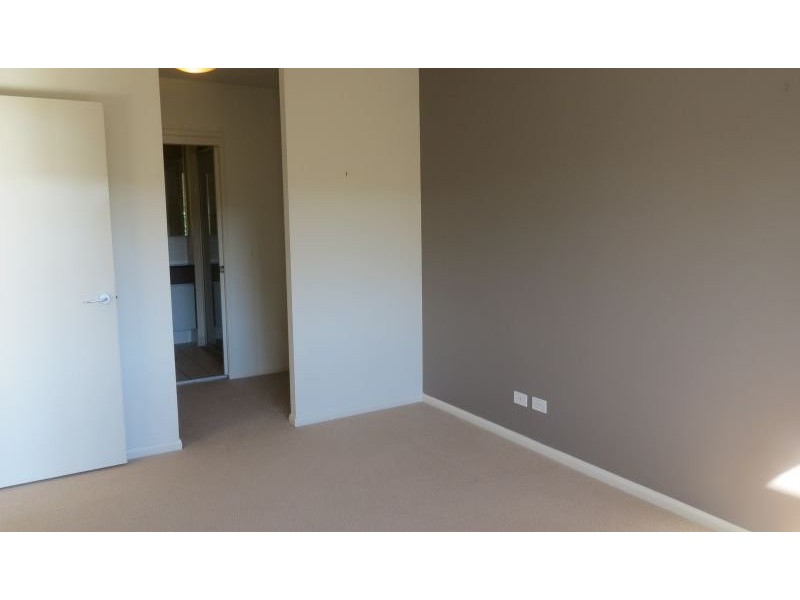 43 Love Street, Bulimba QLD 4171