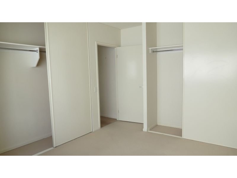 43 Love Street, Bulimba QLD 4171