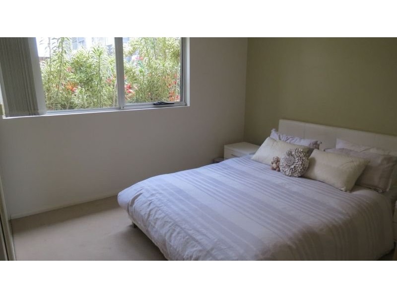 43 Love Street, Bulimba QLD 4171