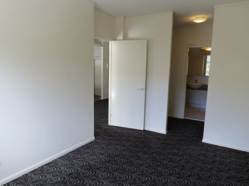 43 Love Street, Bulimba QLD 4171