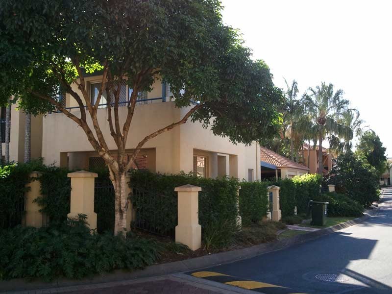 33/101 Coutts Street, Bulimba QLD 4171