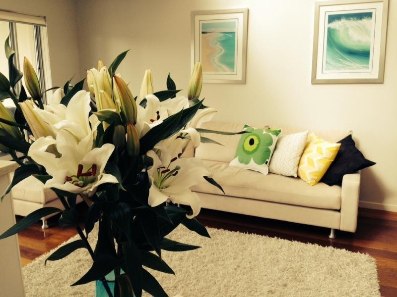 15/483 Golden Four Drive, Tugun QLD 4224