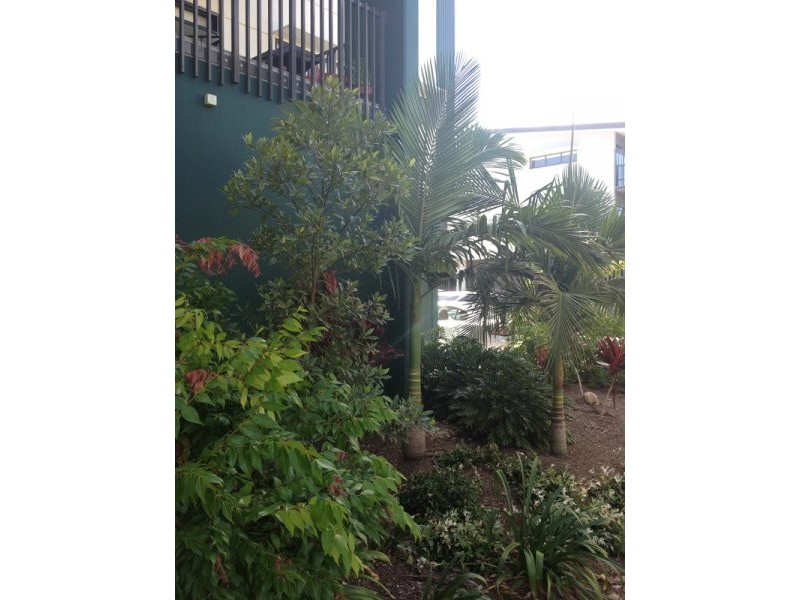 2 Garden Terrace, Newmarket QLD 4051