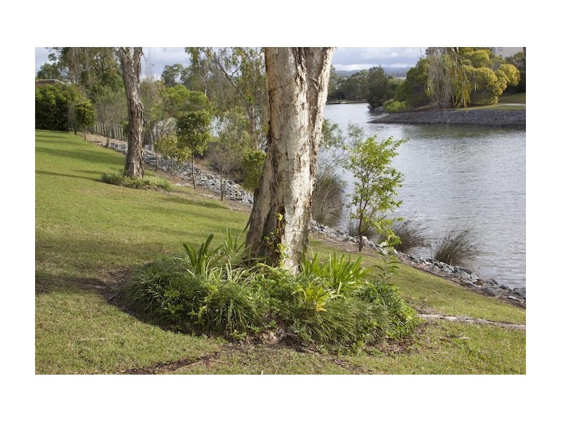 Varsity Lakes QLD 4227