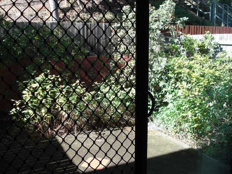 6/93 Waminda Street, Morningside QLD 4170