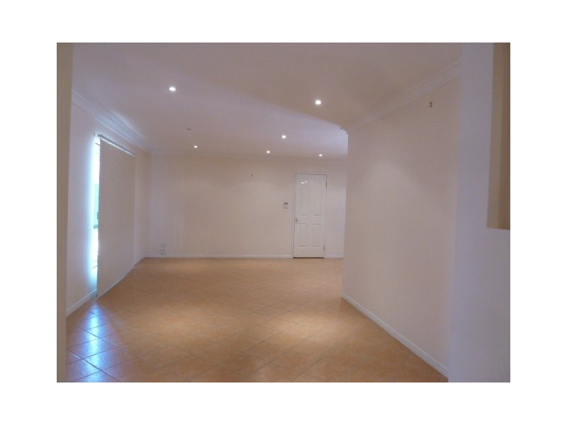 17 Romeo Court, Sunnybank Hills QLD 4109