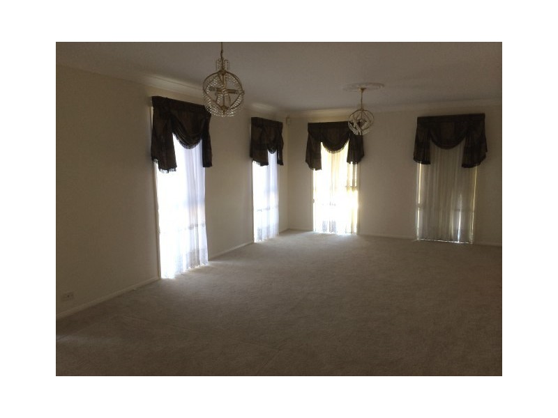 43 Furorie Street, Sunnybank Hills QLD 4109