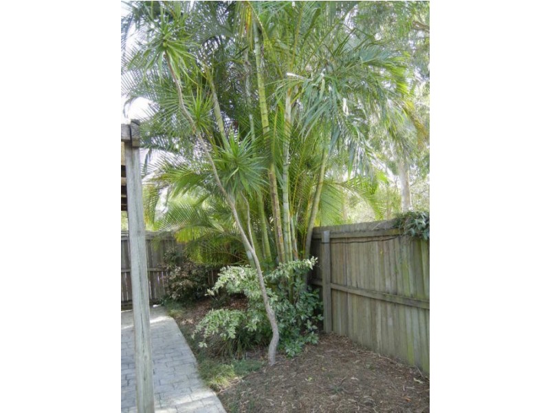 11 Rebecca Way, Slacks Creek QLD 4127