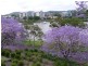 West End QLD 4101