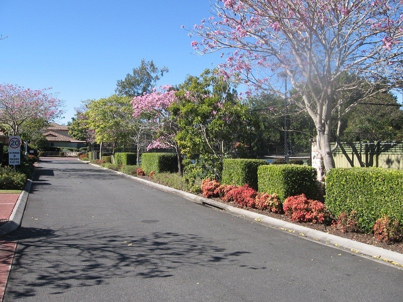 139 Pring Street, Hendra QLD 4011