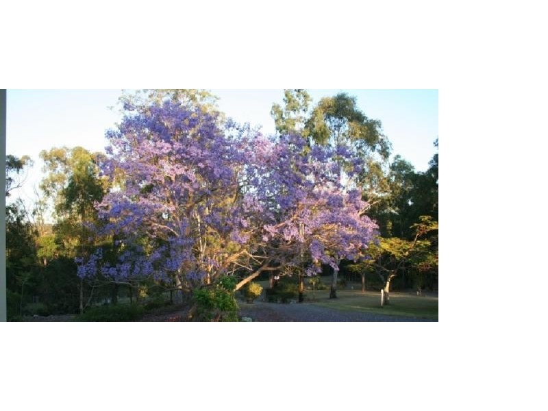 6 The Spur, Worongary QLD 4213