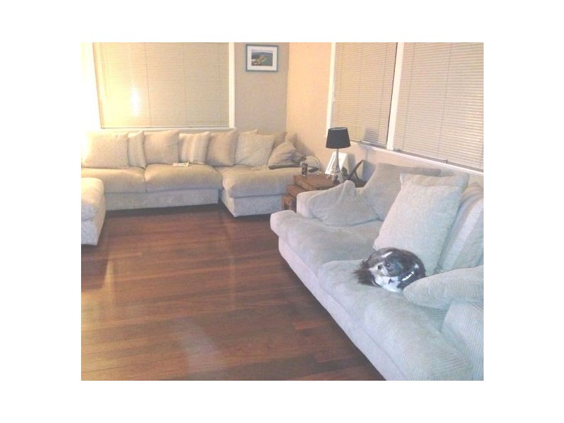 134 Mayfield Rd, Carina QLD 4152