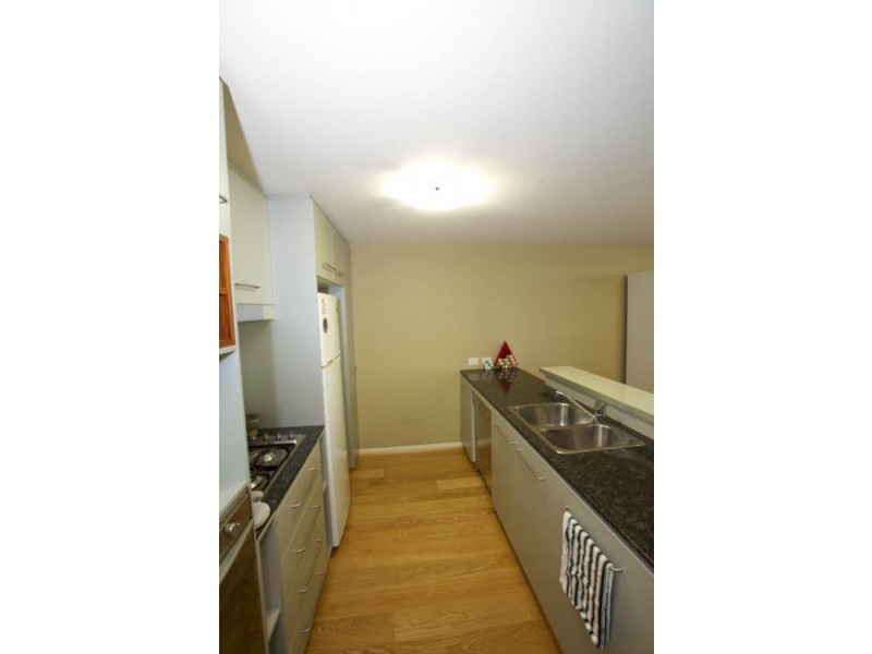 43 Love Street, Bulimba QLD 4171