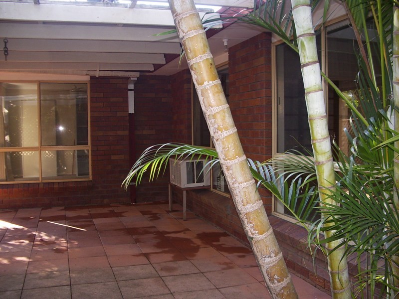 19/601 Pine Ridge Road., Biggera Waters QLD 4216