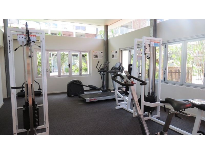 */43 Love Street, Bulimba QLD 4171